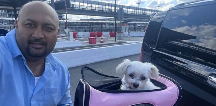 pet taxi paris to london